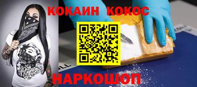 гидра Будённовск