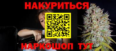гидра Будённовск