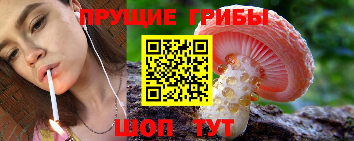Псилоцибиновые грибы Magic Shrooms  Вход с VPN  Урюпинск 